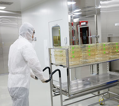 메디톡스 광교 R&D 센터 (수원)